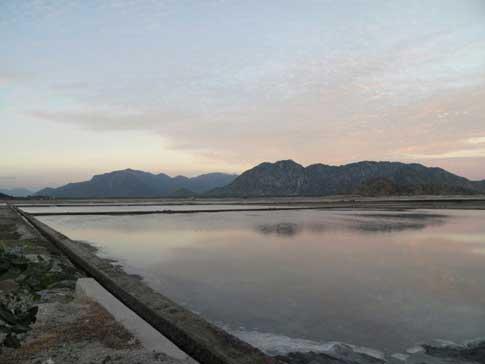 IMG2945485