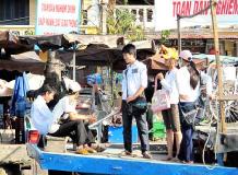 IMG3147485a