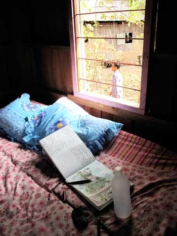 IMG4952350