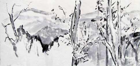 IMG7065485
