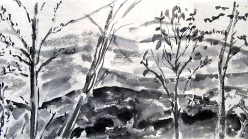 IMG7068485