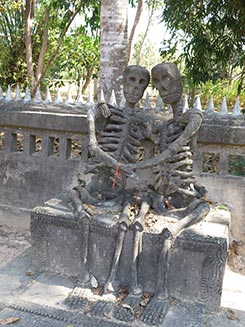IMG7554