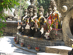 IMG7558