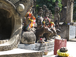 IMG7559