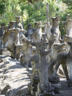 IMG7572