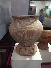 IMG7982