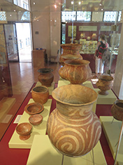 IMG7991