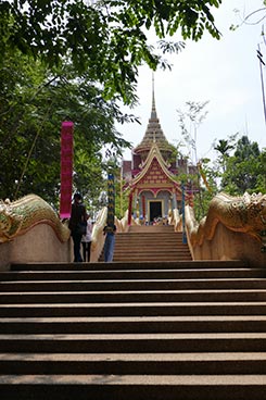 IMG_AP19-36