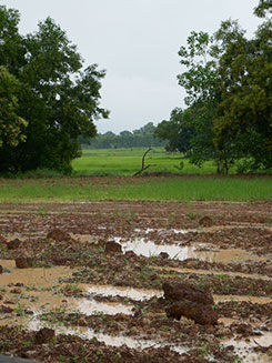 IMG_AUG19-44