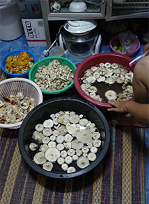 IMG_AUG19-51