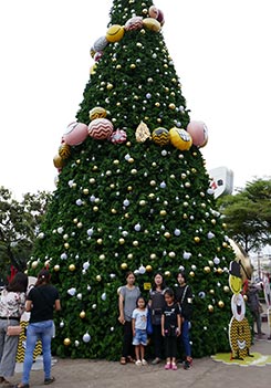 IMG_DE18-17