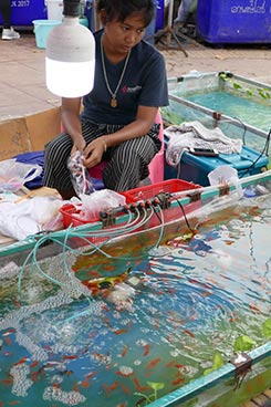 IMG_DE18-22