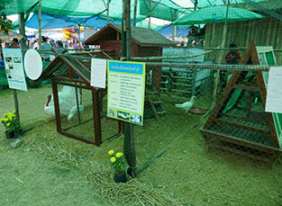 IMG_DE18-41