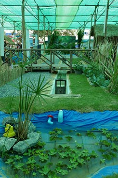 IMG_DE18-43