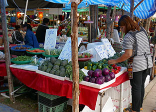 IMG_DE18-56