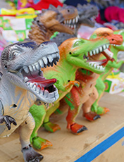 IMG_DE18-61