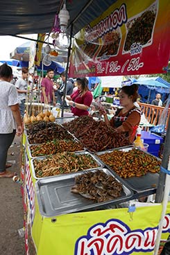 IMG_DE18-71