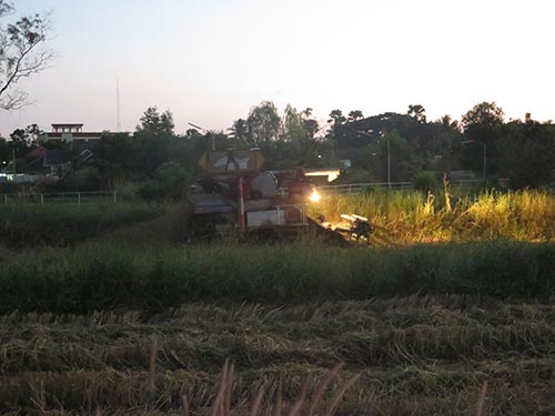IMG_DEZ-(38)