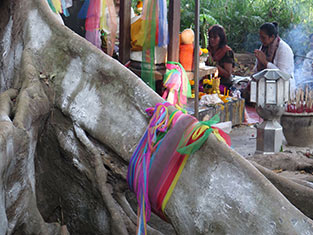 IMG_DEZ-(65)
