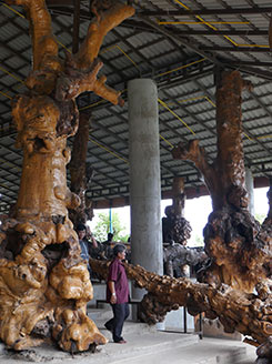 IMG_FE19-100