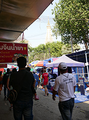 IMG_FE19-33