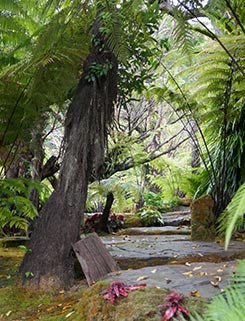 IMG_FE19-70