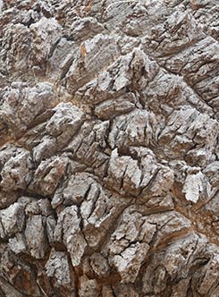 IMG_FE19-75