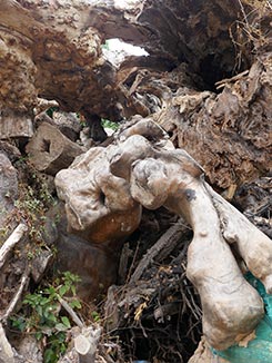 IMG_FE19-76