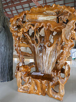 IMG_FE19-81