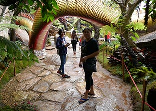 IMG_FE19-96