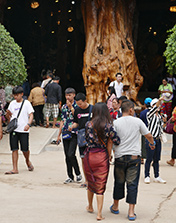 IMG_FE19-99