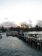IMG_FEB-(46)