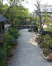 IMG_JA19-112
