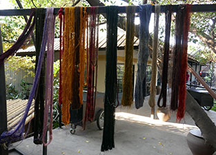 IMG_JA19-113