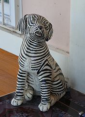 IMG_JA19-46