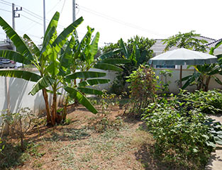 IMG_JA19-48