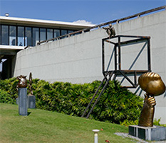 IMG_JA19-65