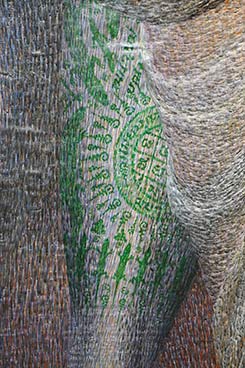 IMG_JA19-77
