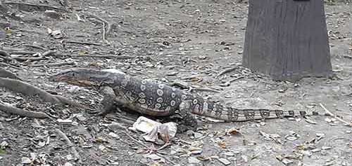 IMG_JA19-90