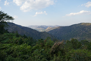 IMG_JA19-91