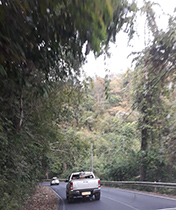 IMG_JA19-95