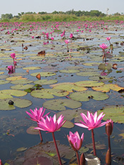 IMG_JAN-(61)