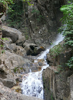 IMG_MA19-111