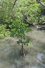 IMG_MA19-115