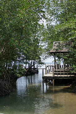 IMG_MA19-117