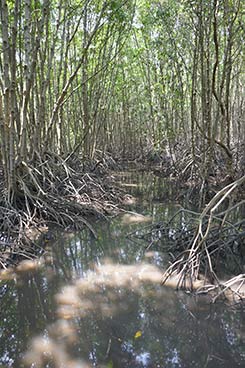IMG_MA19-119