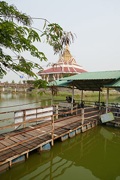 IMG_MA19-51