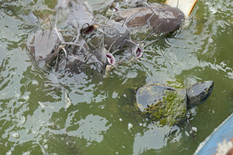 IMG_MA19-52