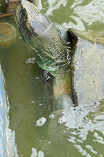 IMG_MA19-53