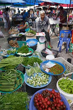 IMG_MA19-79